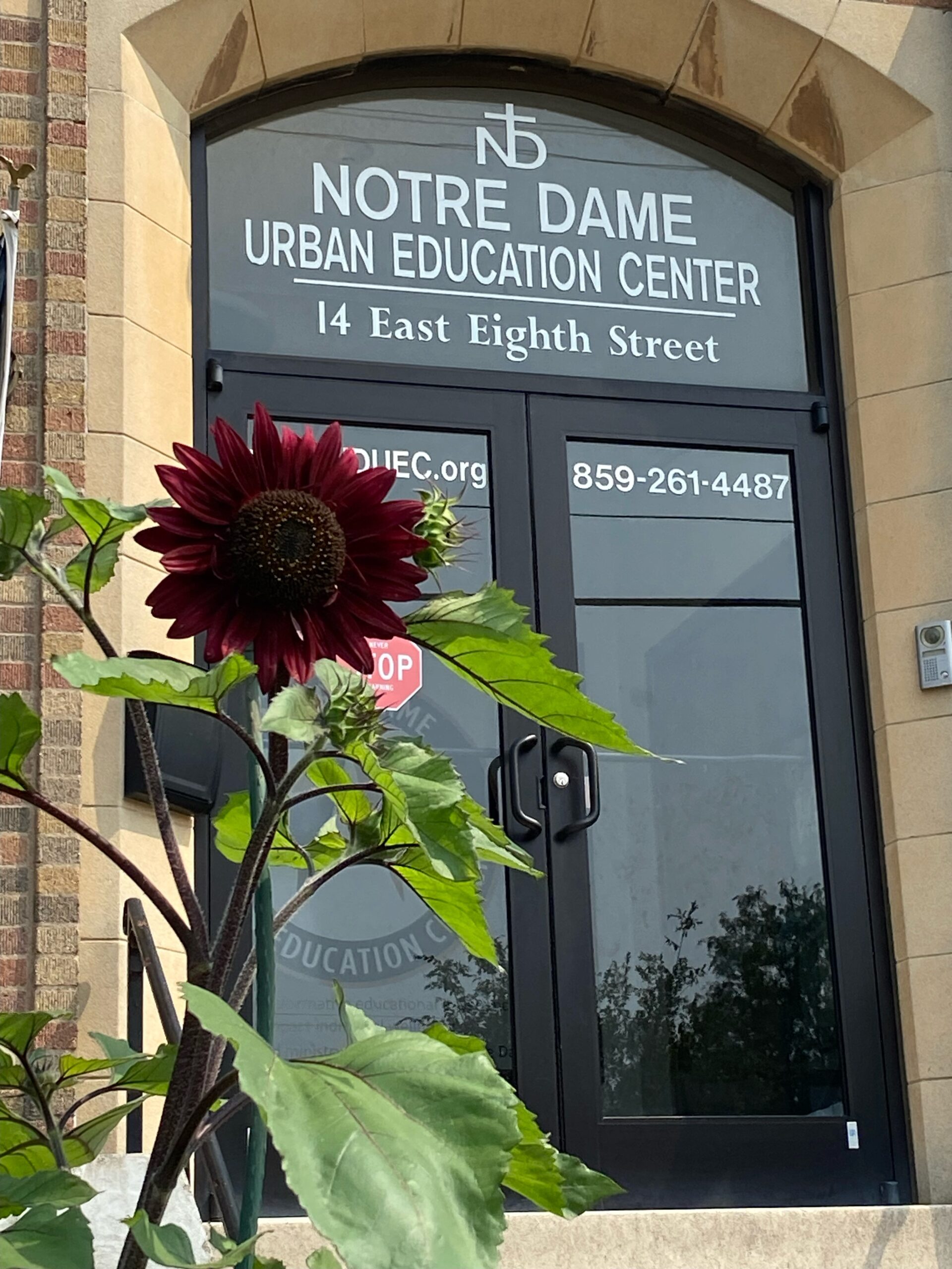 Front Door with Flower